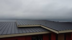 Best Roof Maintenance and Cleaning  in Telluride, CO